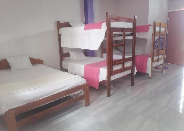 Ayahuasca Hostel