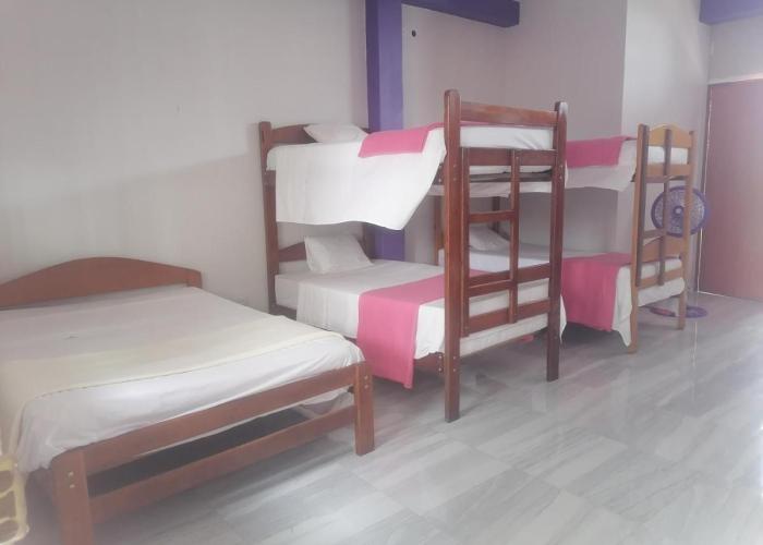 Ayahuasca Hostel