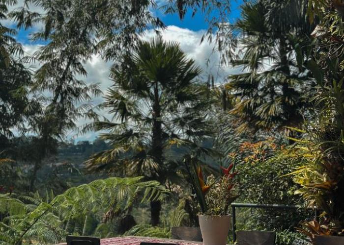 Batak Legacy, A Jungle Hideaway