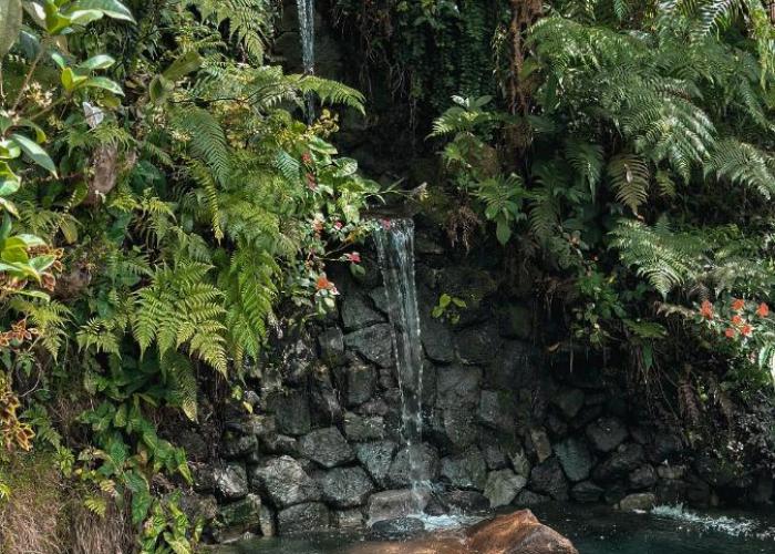 Batak Legacy, A Jungle Hideaway