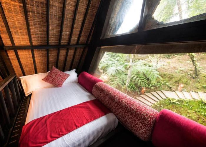 Batak Legacy, A Jungle Hideaway