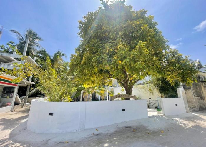 La Palma Suites