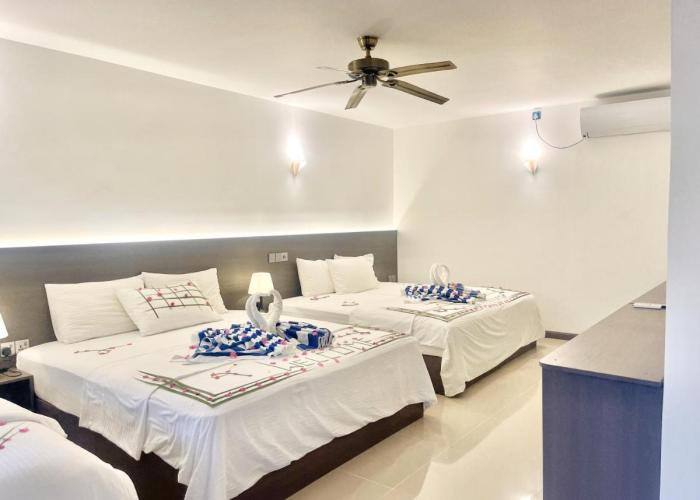 La Palma Suites