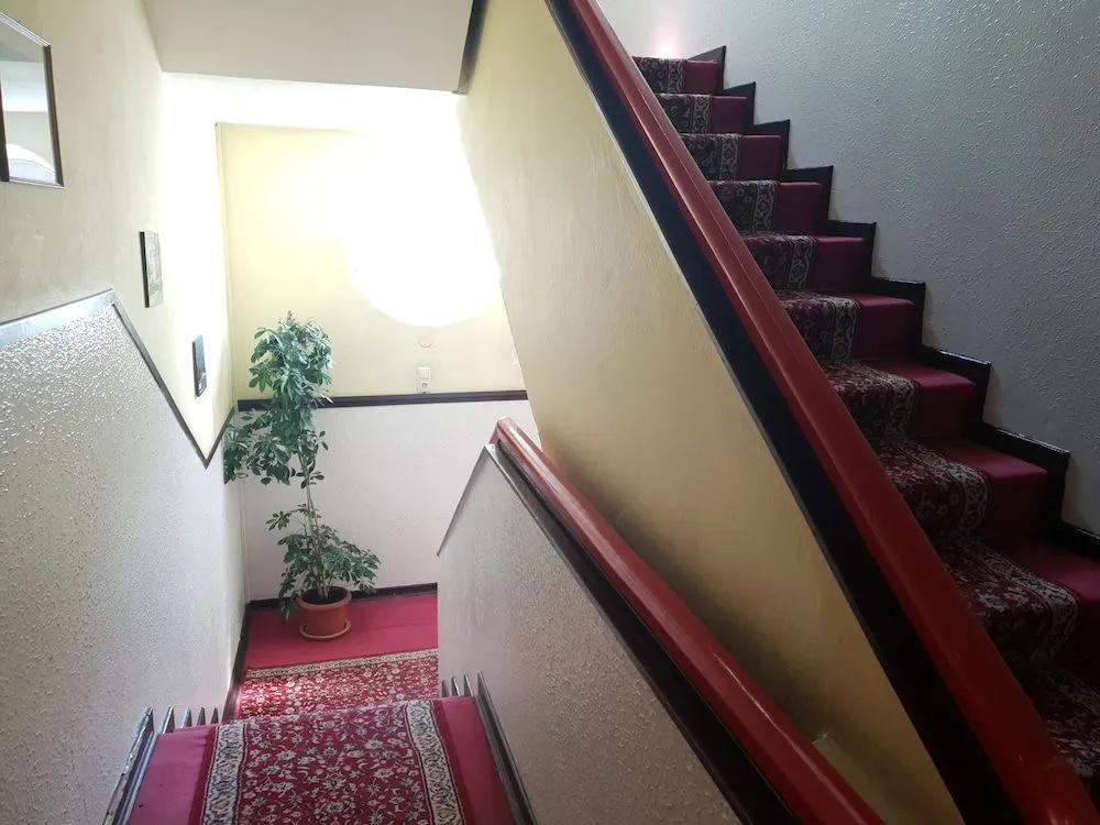 фото Südhotel