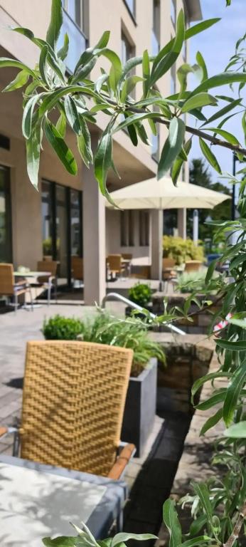 фото Hotel Aspethera