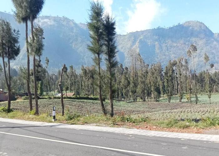 Tengger Indah Seruni Bromo