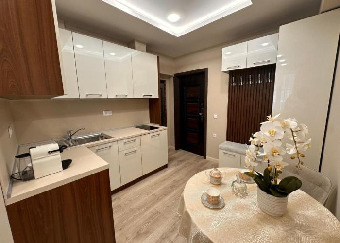 Luxury Apartments 1