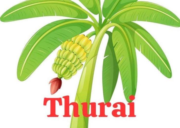 thurai guest house