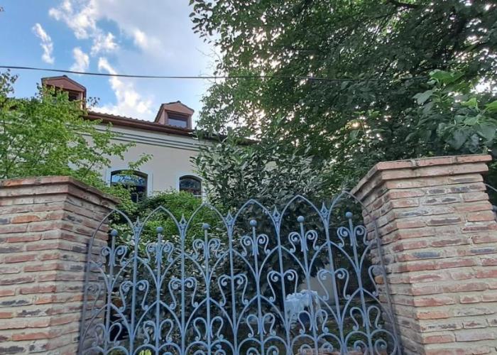 King's Neighbours