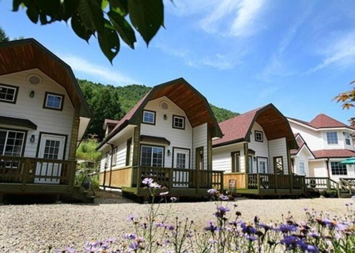 Pyeongchang Jayeonel Dalmeunjip