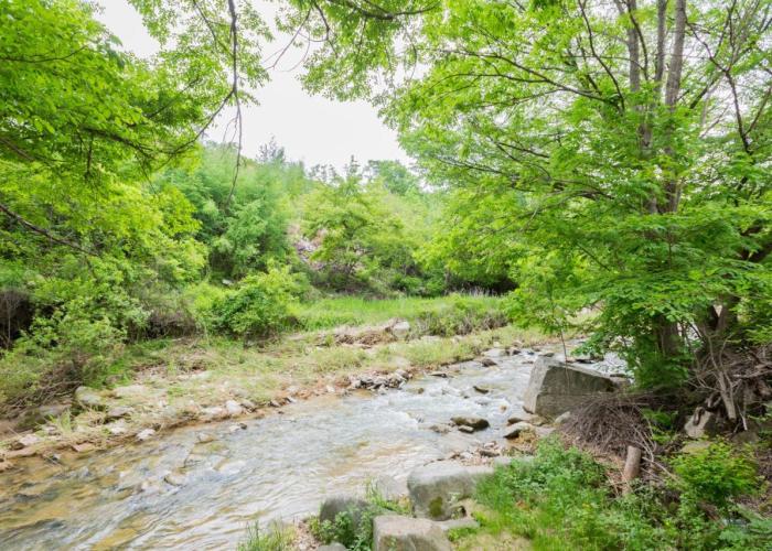 Bongpyeong Moolsori Pension