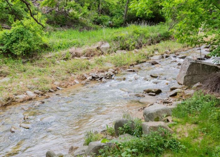 Bongpyeong Moolsori Pension