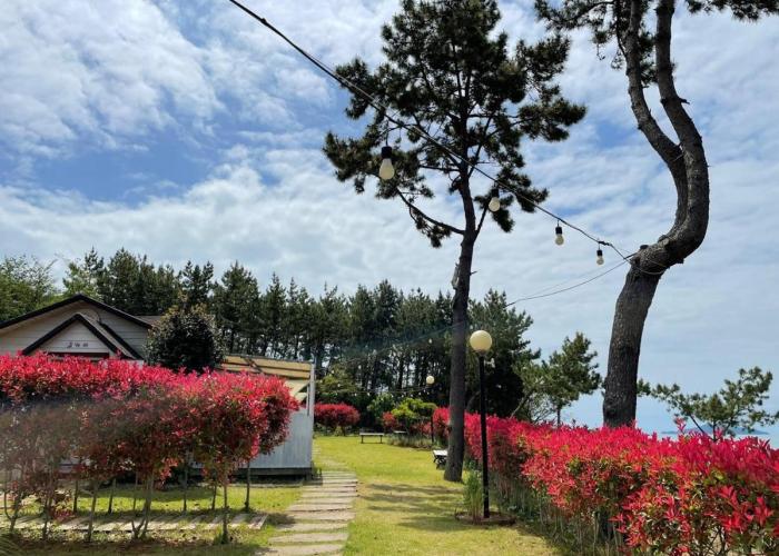 Wando Haegeum Pension