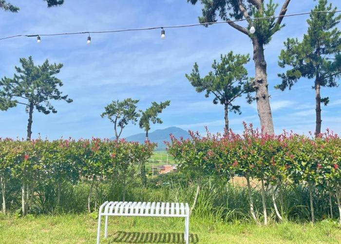 Wando Haegeum Pension