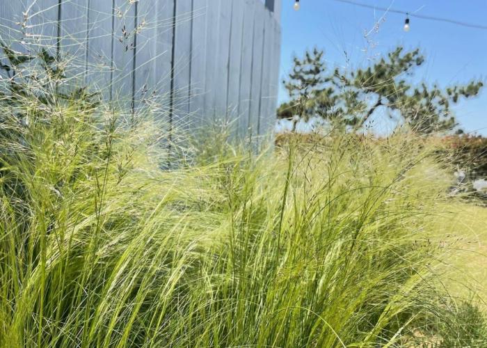 Wando Haegeum Pension