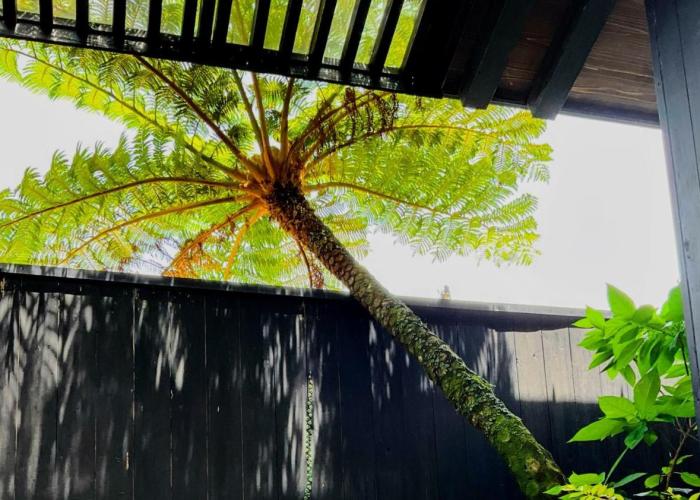 Villa 奄美大島の宿