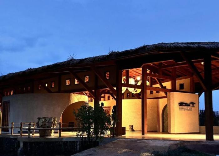 Serengeti Ark Safari Lodge - Kogatende