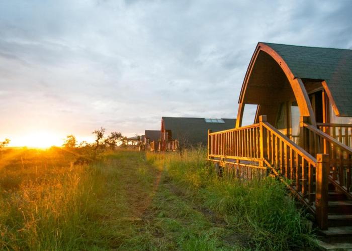 Serengeti Ark Safari Lodge - Kogatende