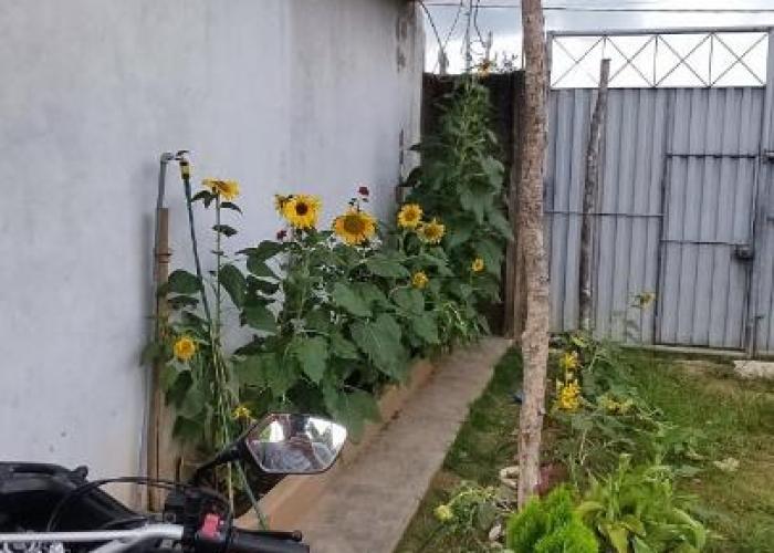 Mini departamento