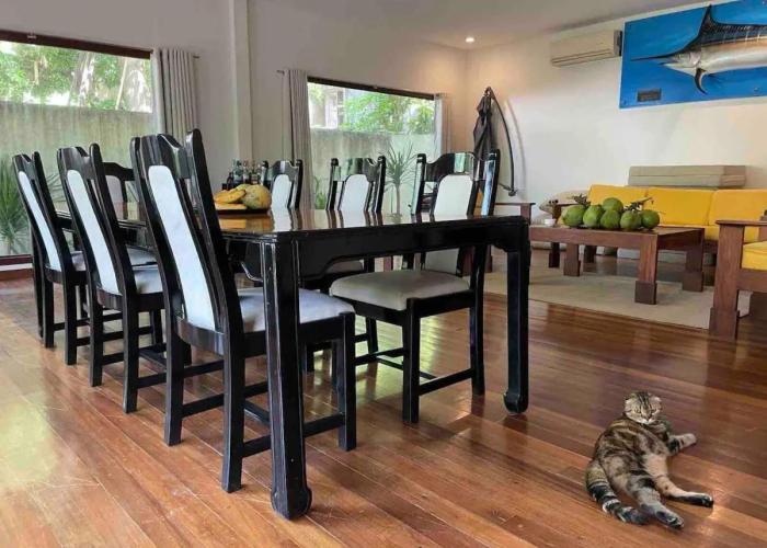 Secluded 4BD Beach Villa, Fast Wifi, Pet Friendly
