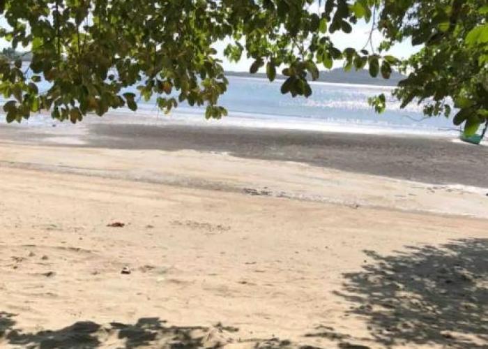 Secluded 4BD Beach Villa, Fast Wifi, Pet Friendly