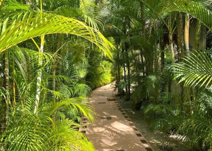 Chalet tropical au cœur de Las Terrenas