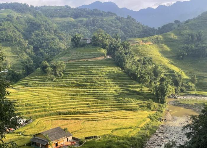 Sapa Garden Hostel