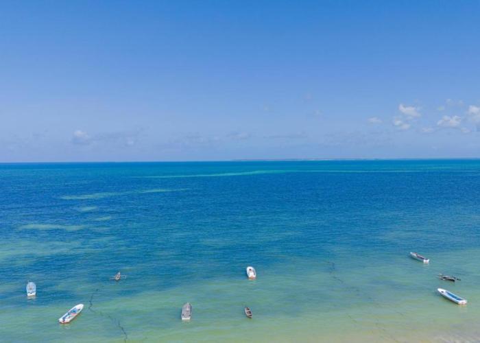 Uroa Escape - Zanzibar Beach Front Condo -AC - WIFI