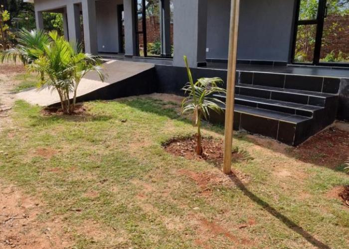 Gono Compound