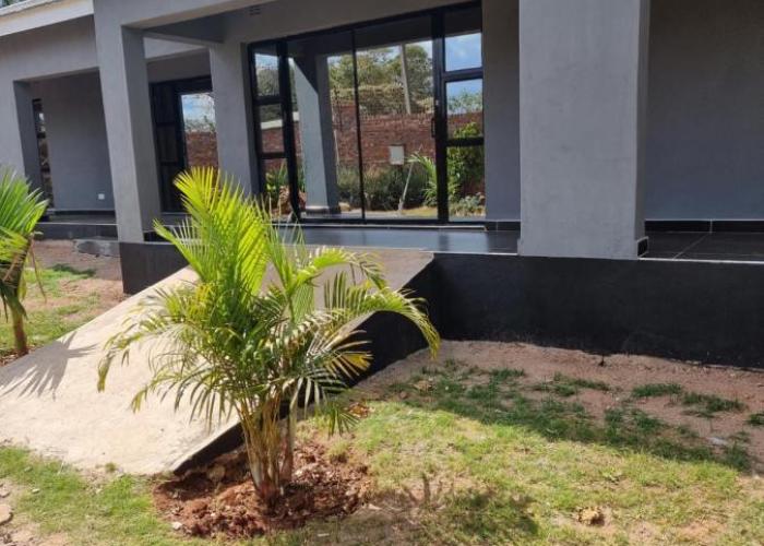 Gono Compound