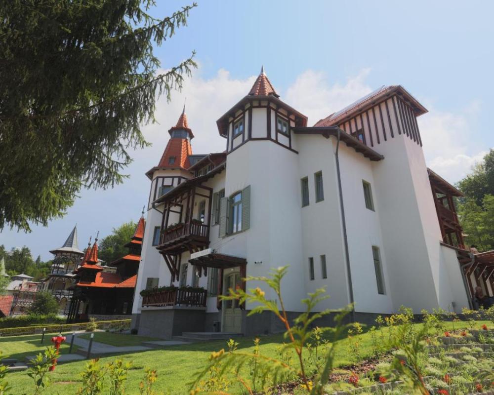 фото Turul Villa