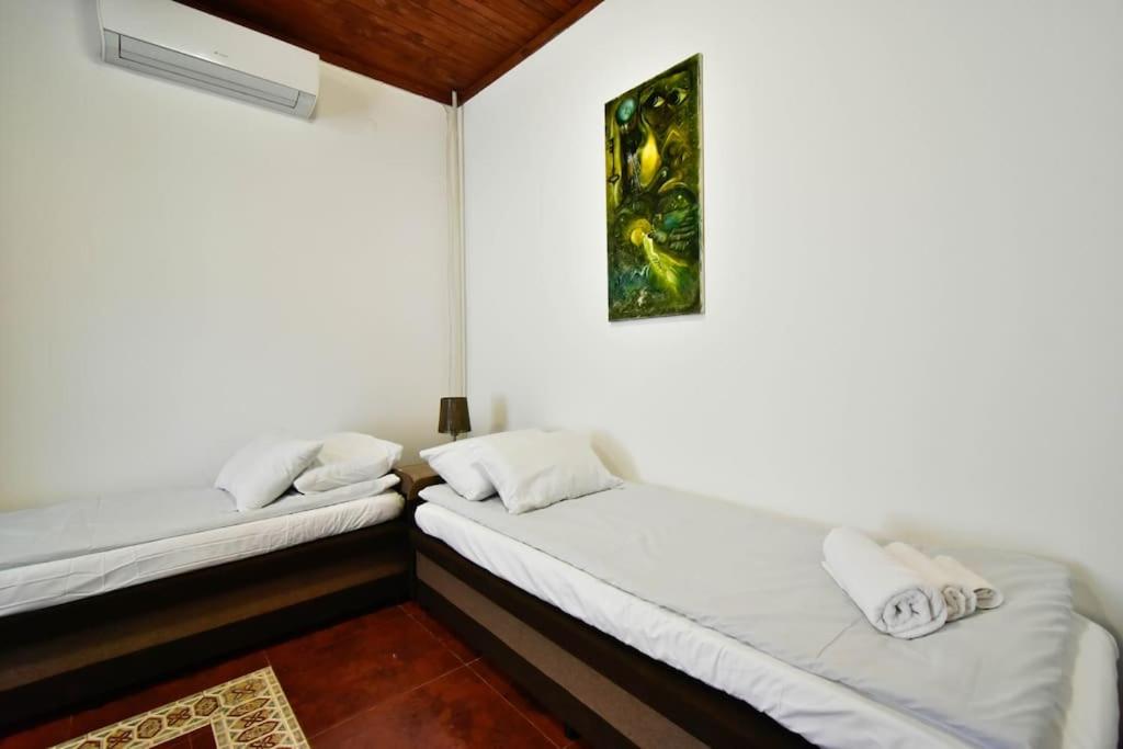 фото Garden Suite in Sofia Center