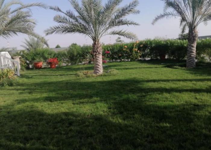 Nature Zamzam Farm And Resort