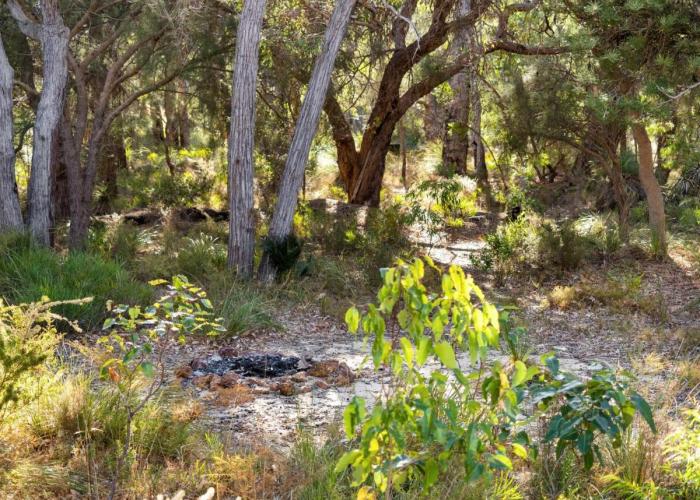 Inji Homestead - 5 acre holiday home in Margaret river region