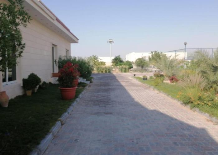 Ace Arena Fram Resort