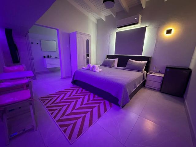 Executive Inn Aruba Room Swiss #5
