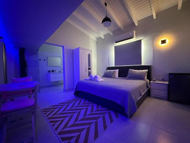 Executive Inn Aruba Room Swiss #5