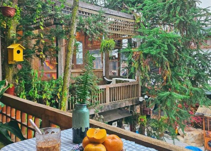 Góc Homestay & Cocktail bar in Moc Chau Night Market