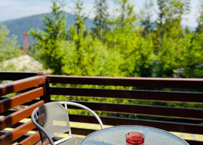 Ski Chalet Sinaia