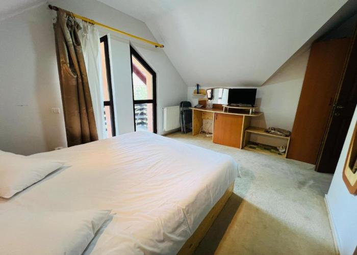 Ski Chalet Sinaia