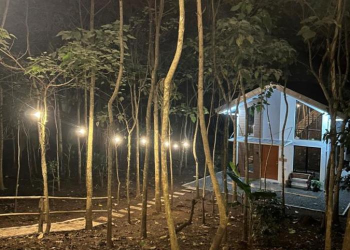 Tagaytay's Cozy Loft-type Forest House and Camp