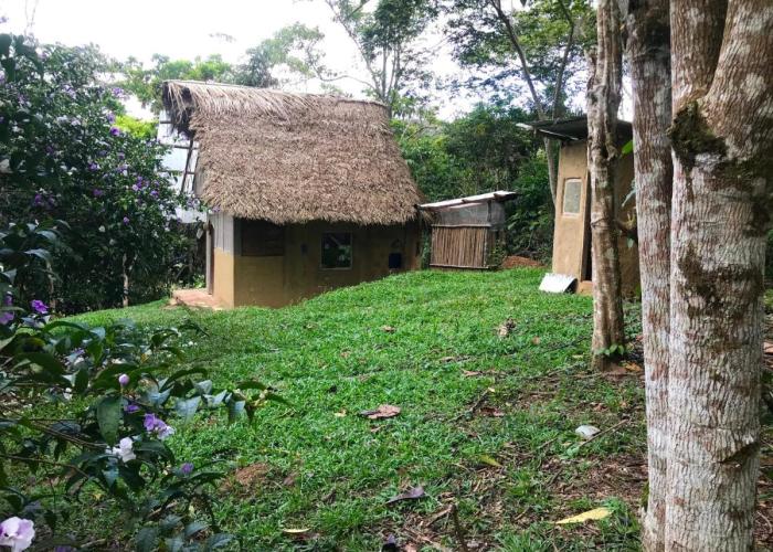 Sweet little cabin in ecological artist community