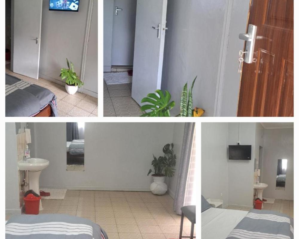 фото Palmview studio