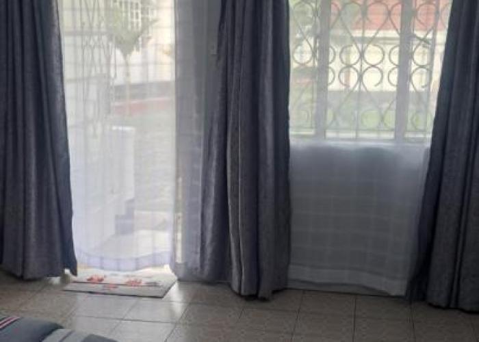 Palmview studio