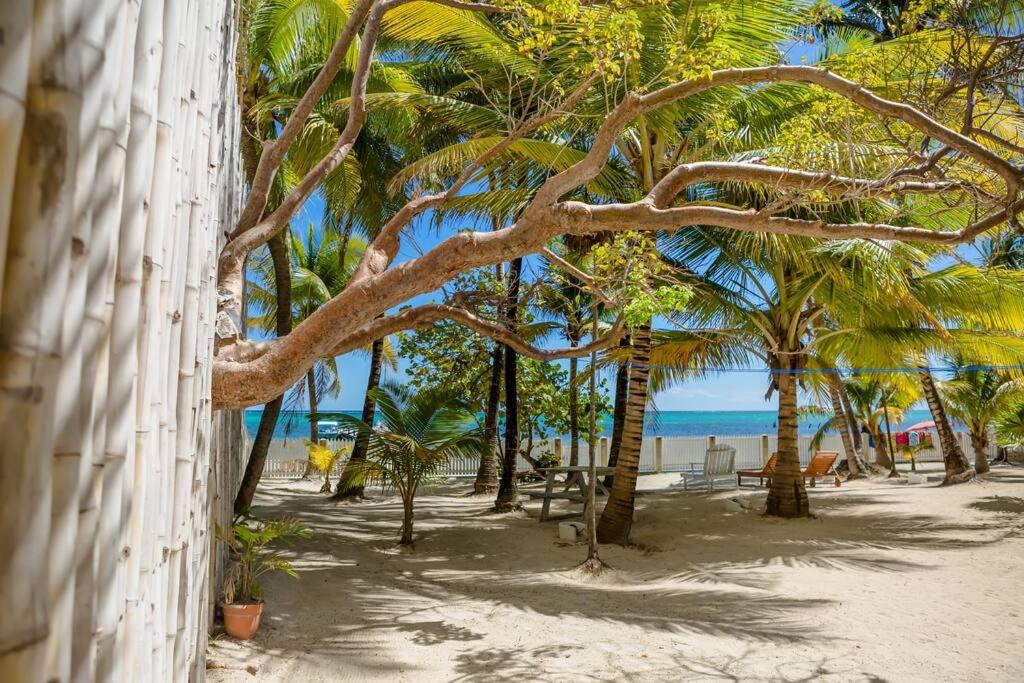 фото Babylon Beach Resort