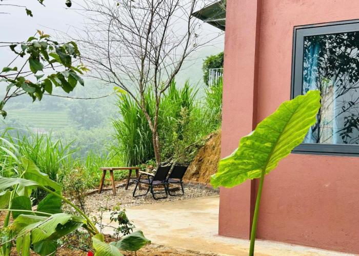 Dinh Sapa Trekking & Homestay