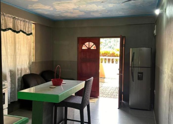 The Jungle Escape Apartment 02
