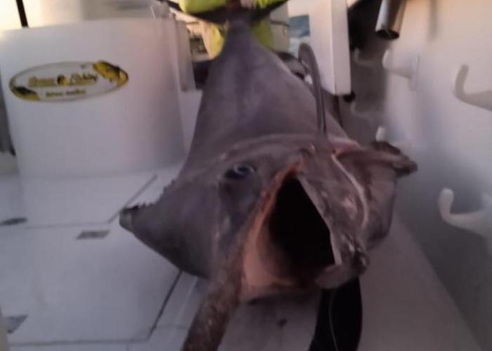 Bertin Fishing Nosy Be