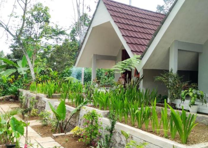 Stokel Cottage