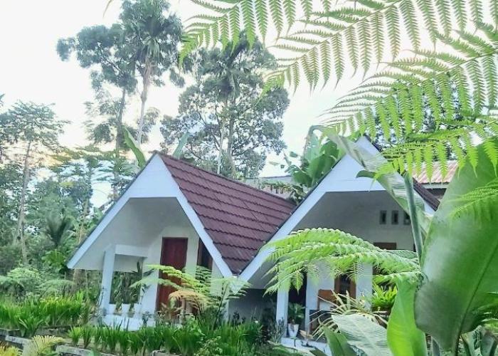 Stokel Cottage
